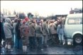 Waterloo Cup 1977
