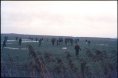 Waterloo Cup 1977