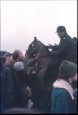 Waterloo Cup 1977