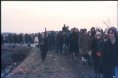 Waterloo Cup 1977