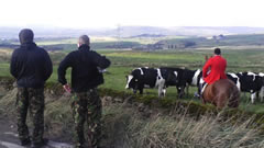 Holcombe Hunt