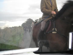 Badsworth and Bramham Moor Hunt