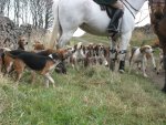 High Peak Hunt