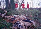 Hounds & Hunters Kill 1.JPG (39278 bytes)