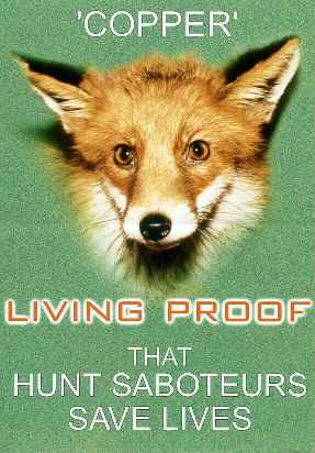 Copper the Fox Leaflet - front