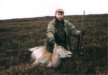 deer