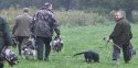 duck shoot