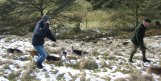 forest and district beagles