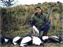 goose