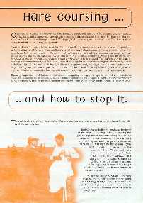 Hare Cousing and How to Stop It Leaflet - front
