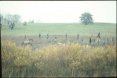 Old skool sabbing