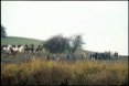 Old skool sabbing