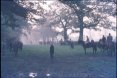 Old skool sabbing