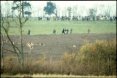 Old skool sabbing