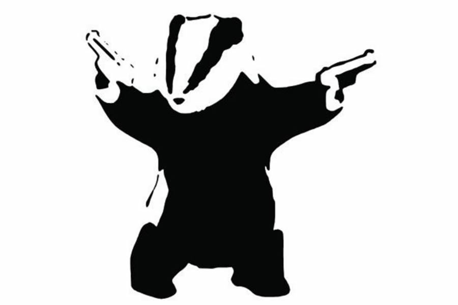 Stop the badger cull