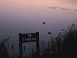 Ironic sign where the Ruddy duck are being shot