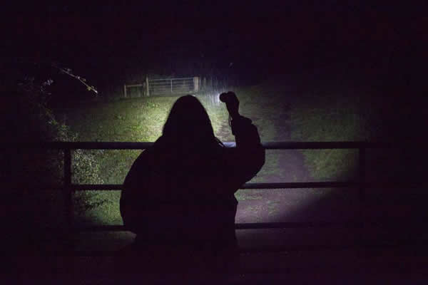 Badger cull
