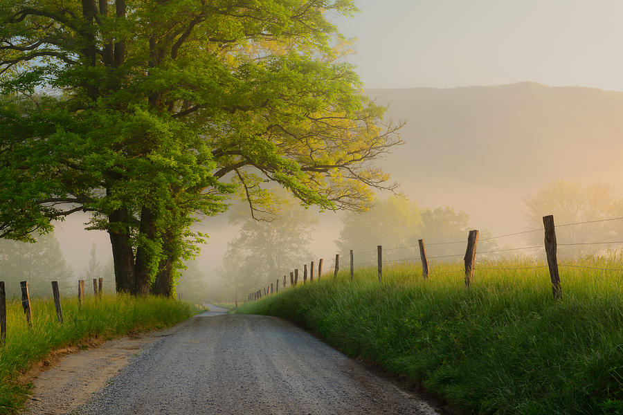 country lane