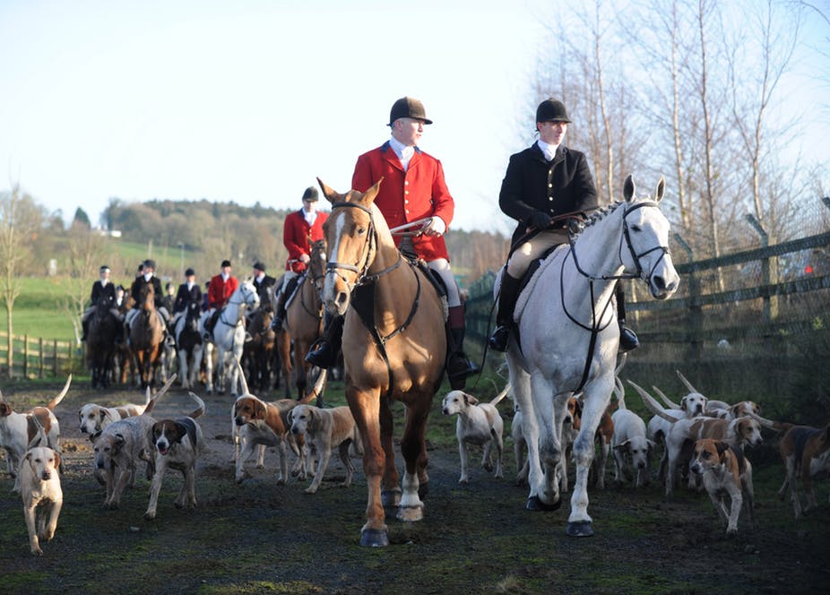 Fox hunt