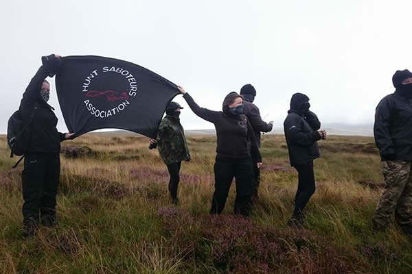 grouse shoot sab