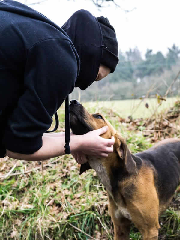 Hunt sab and foxhound