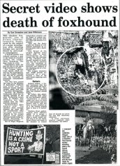Chester Chronicle article 