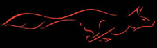 HSA logo