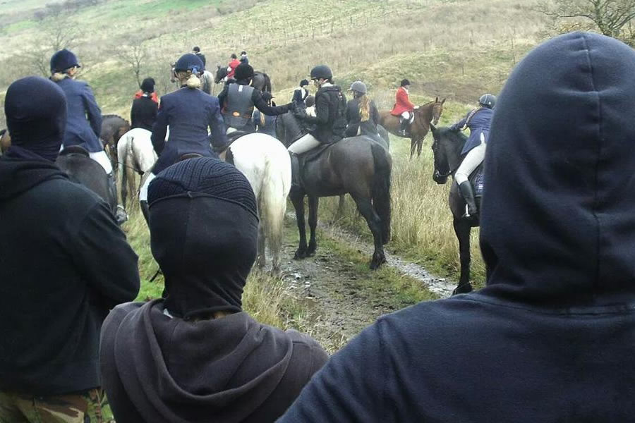 Sabbing a fox hunt